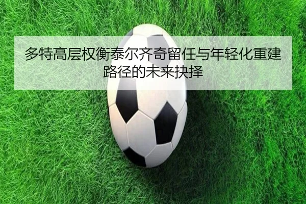多特高层权衡泰尔齐奇留任与年轻化重建路径的未来抉择